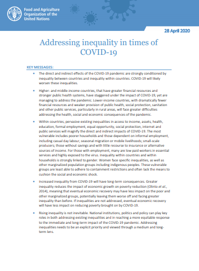 Addressing Inequality In Times Of Covid Policy Support And Governance Food And Agriculture